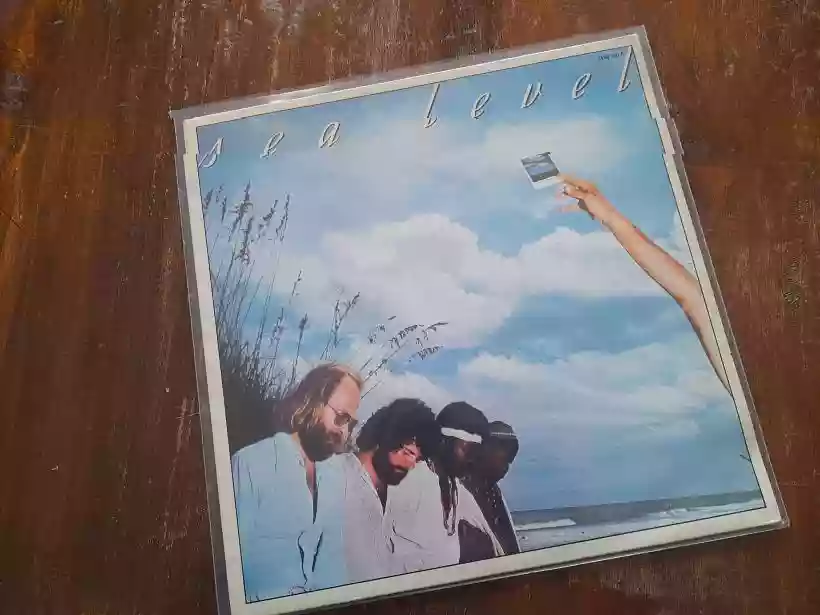 Ingrandisci questa immagine