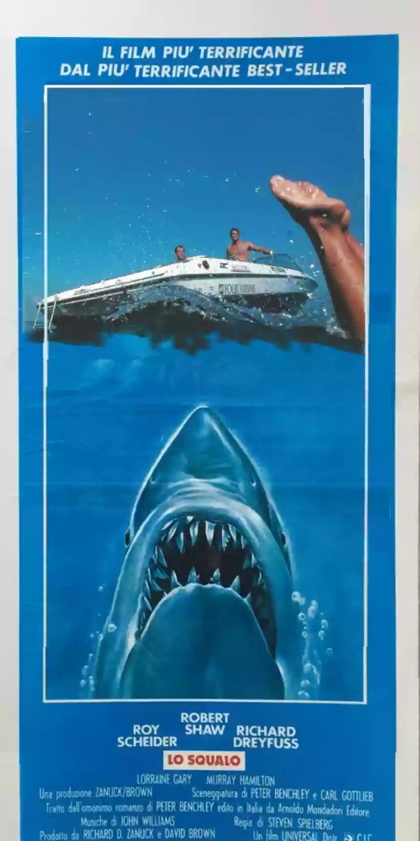 Ingrandisci questa immagine