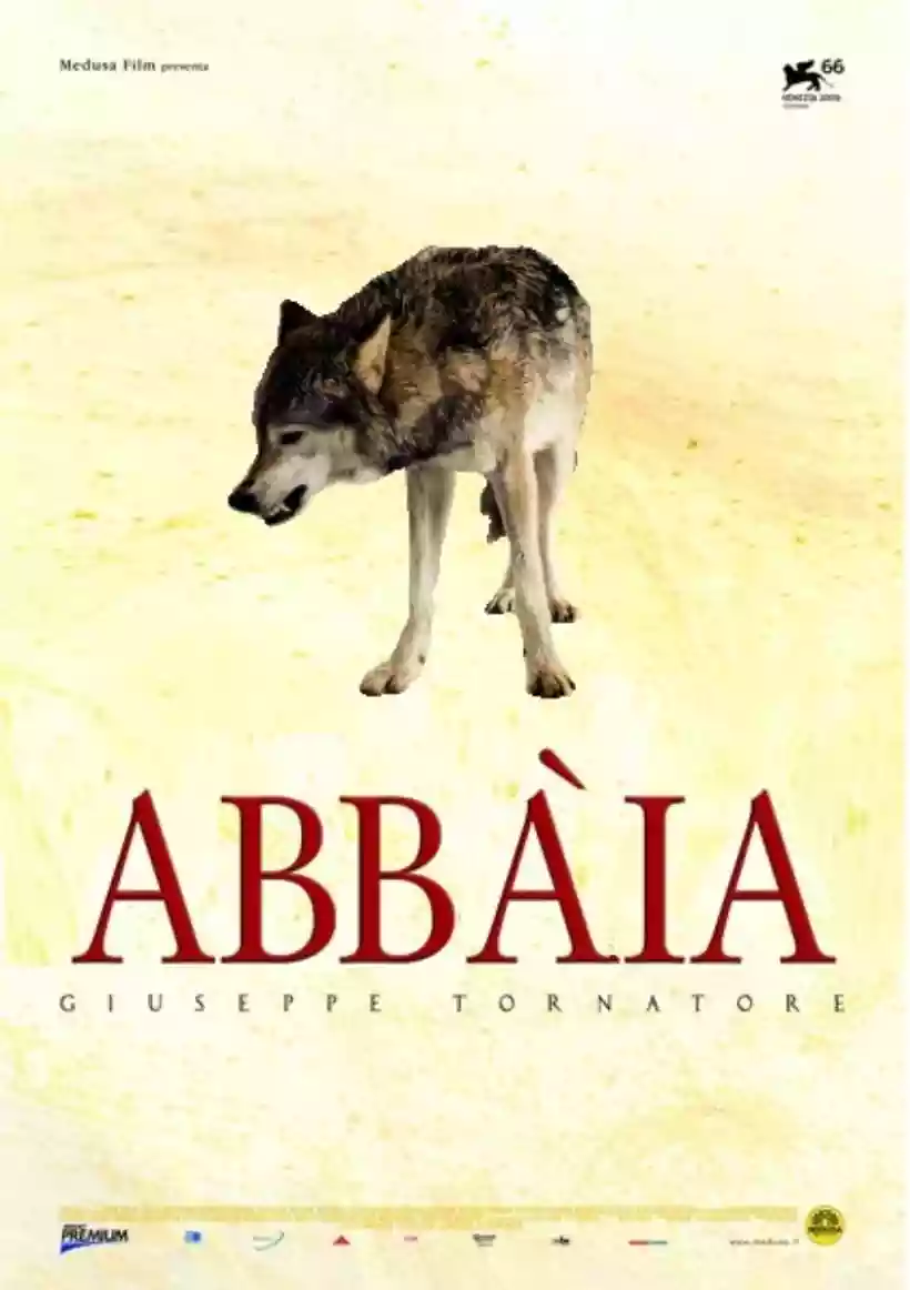 Ingrandisci questa immagine