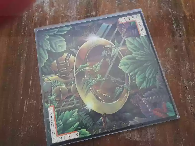 Ingrandisci questa immagine