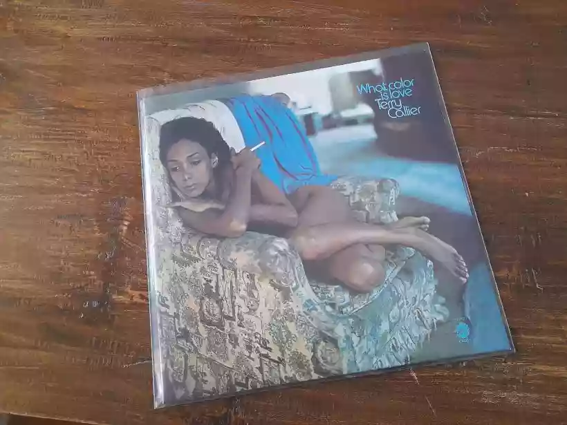 Ingrandisci questa immagine