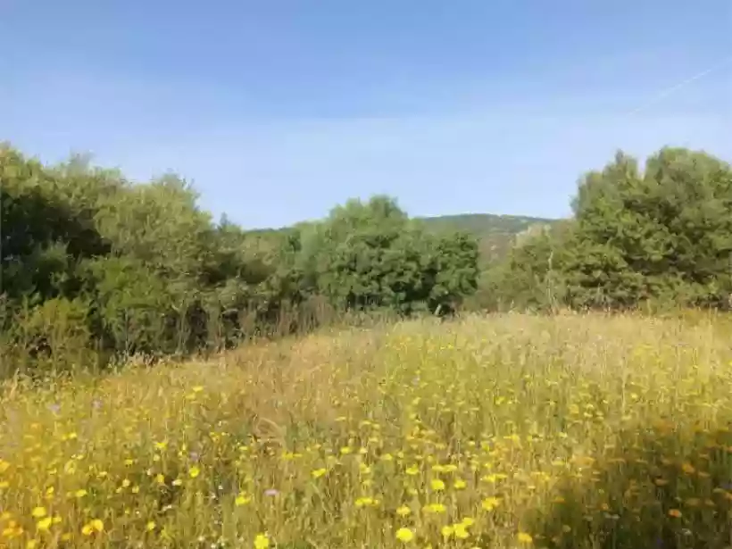 Ingrandisci questa immagine