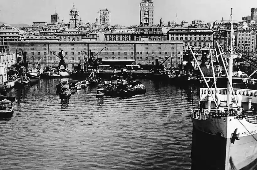 Ingrandisci questa immagine