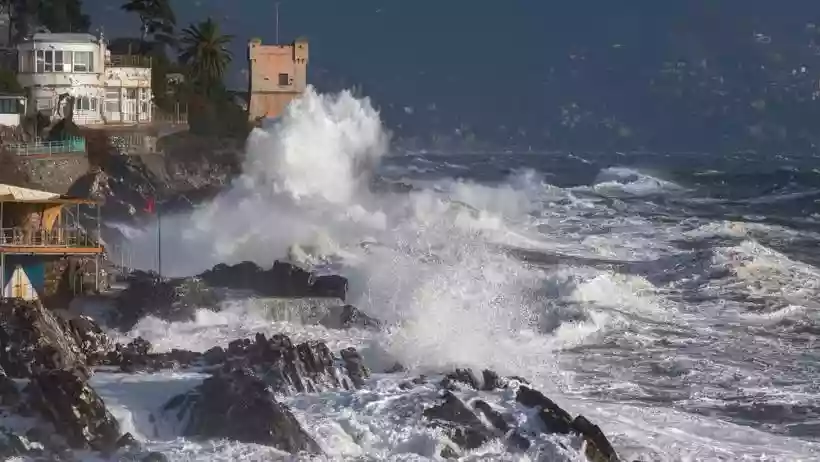 Ingrandisci questa immagine