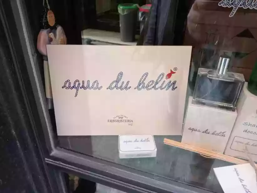 Ingrandisci questa immagine