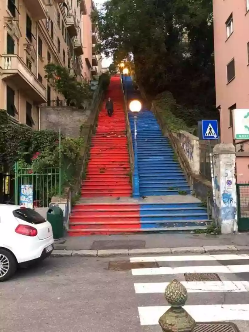 Ingrandisci questa immagine