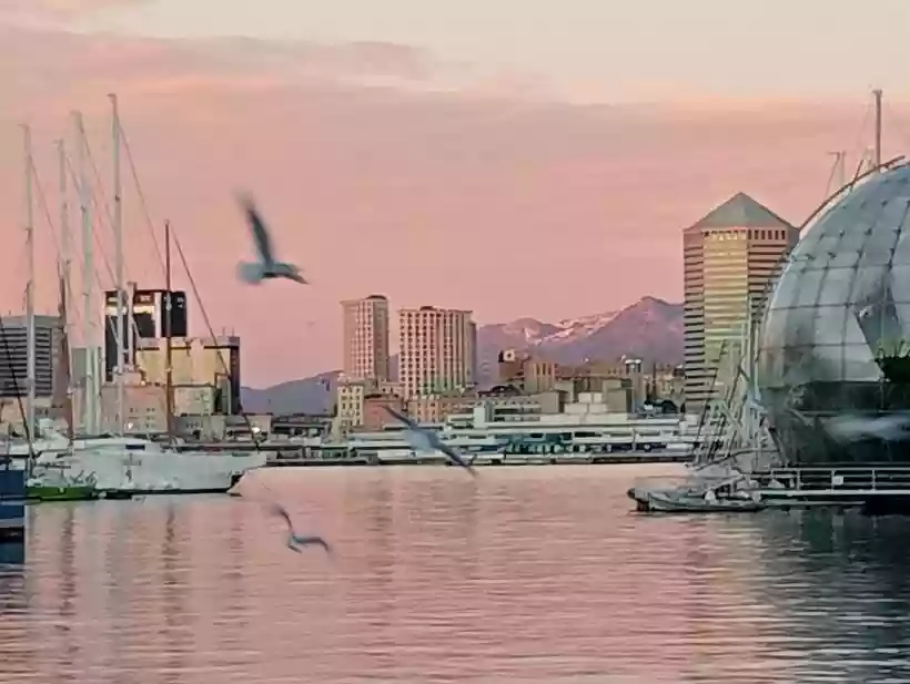 Ingrandisci questa immagine