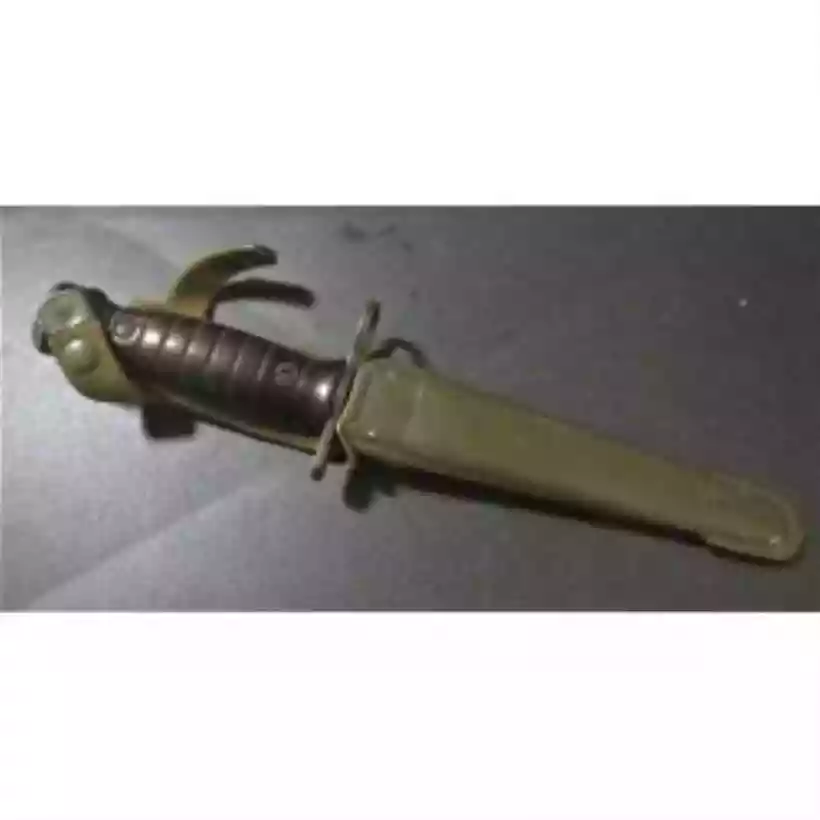 Ingrandisci questa immagine