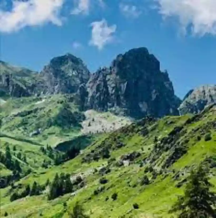 Ingrandisci questa immagine