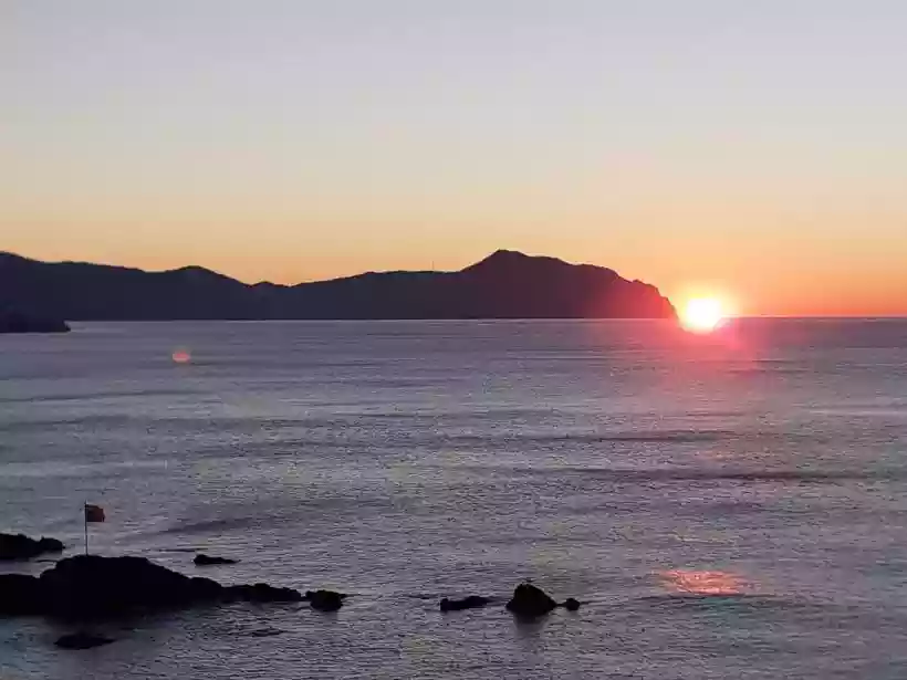 Ingrandisci questa immagine