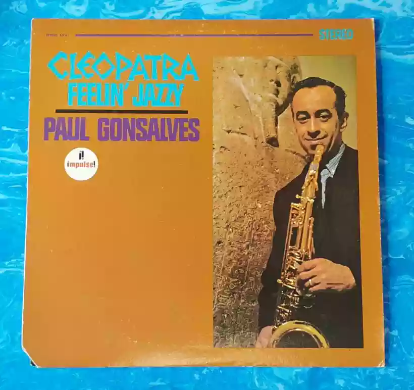 Ingrandisci questa immagine