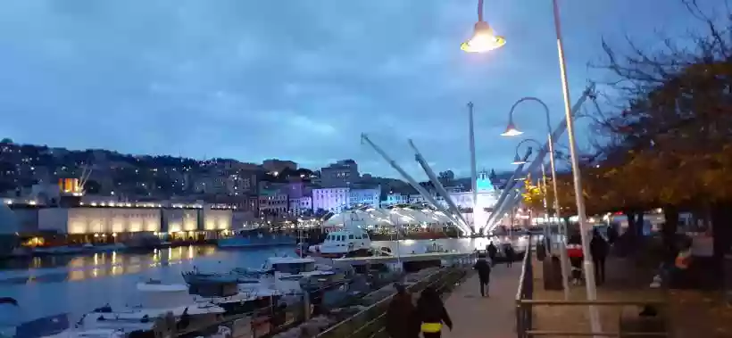 Ingrandisci questa immagine