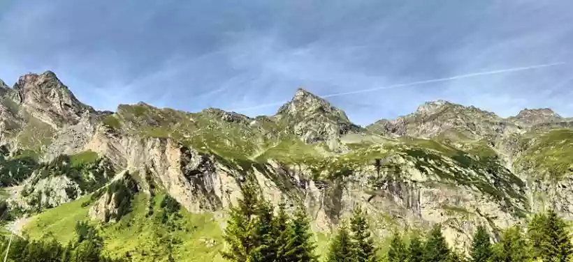 Ingrandisci questa immagine