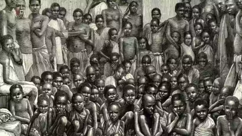 Ingrandisci questa immagine