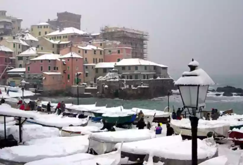 Ingrandisci questa immagine