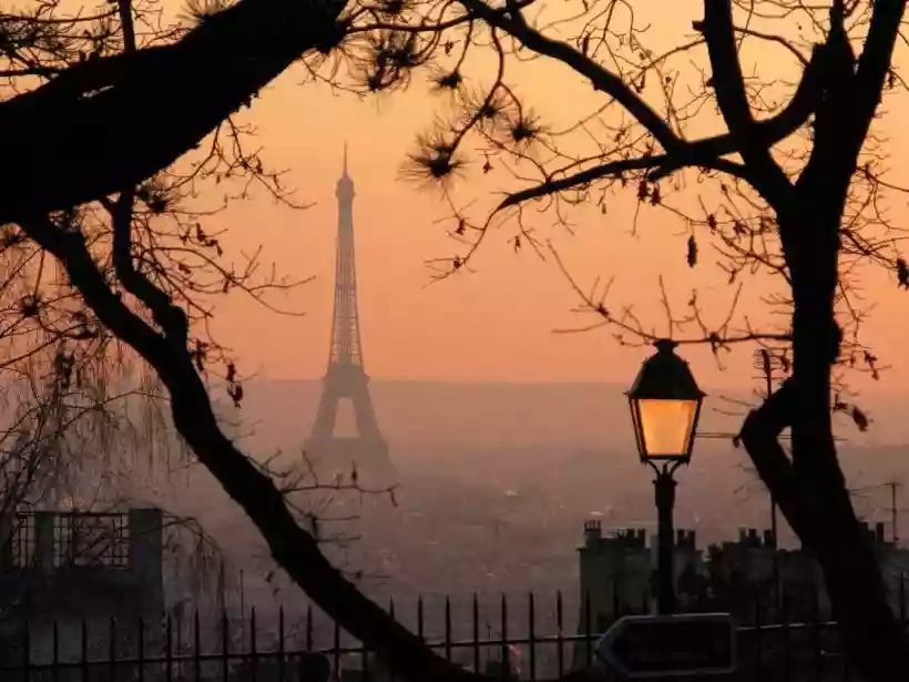 Ingrandisci questa immagine