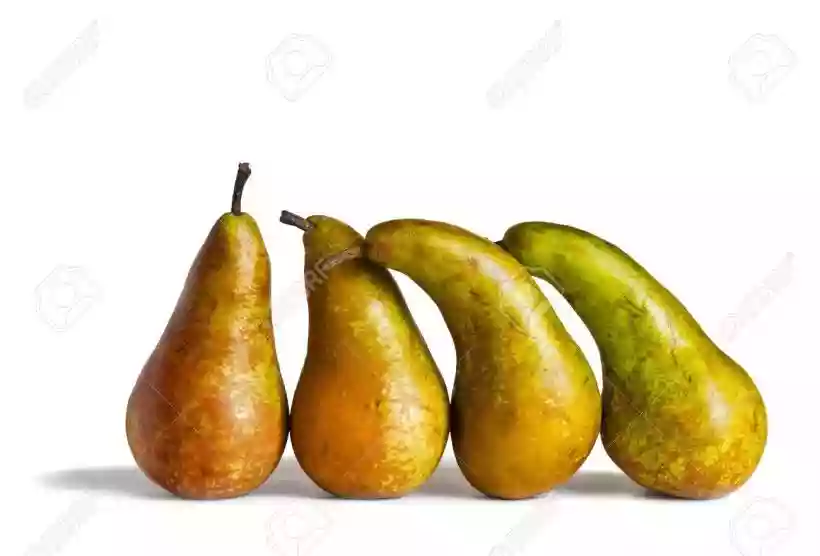 Ingrandisci questa immagine