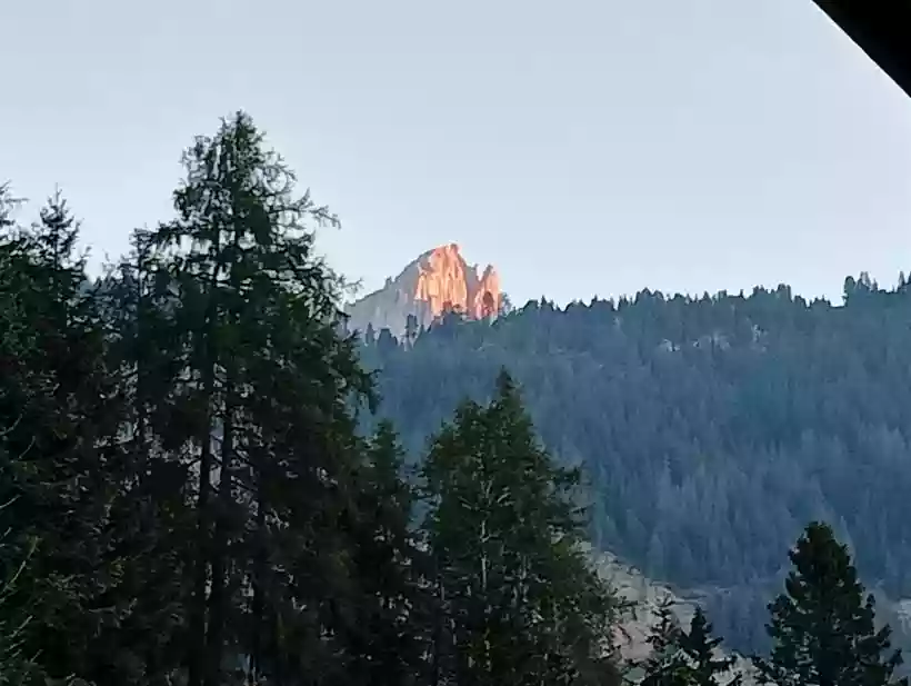 Ingrandisci questa immagine