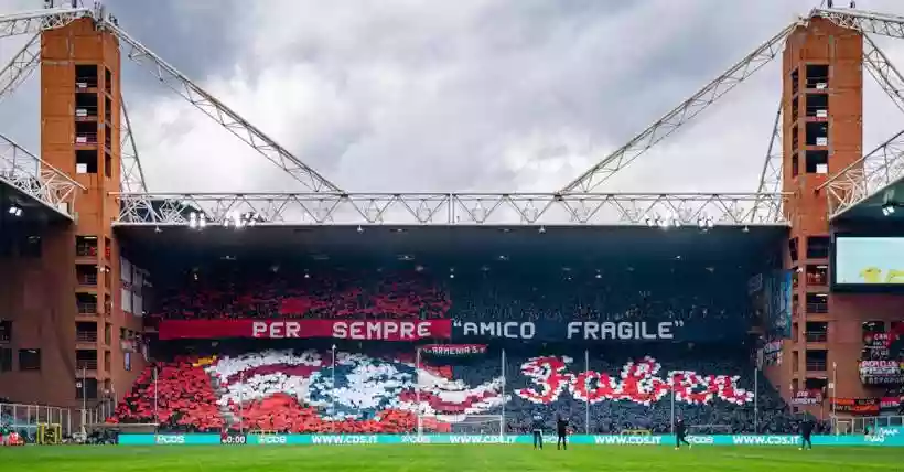 Ingrandisci questa immagine