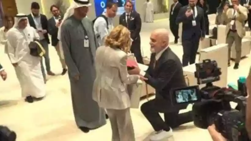 Ingrandisci questa immagine