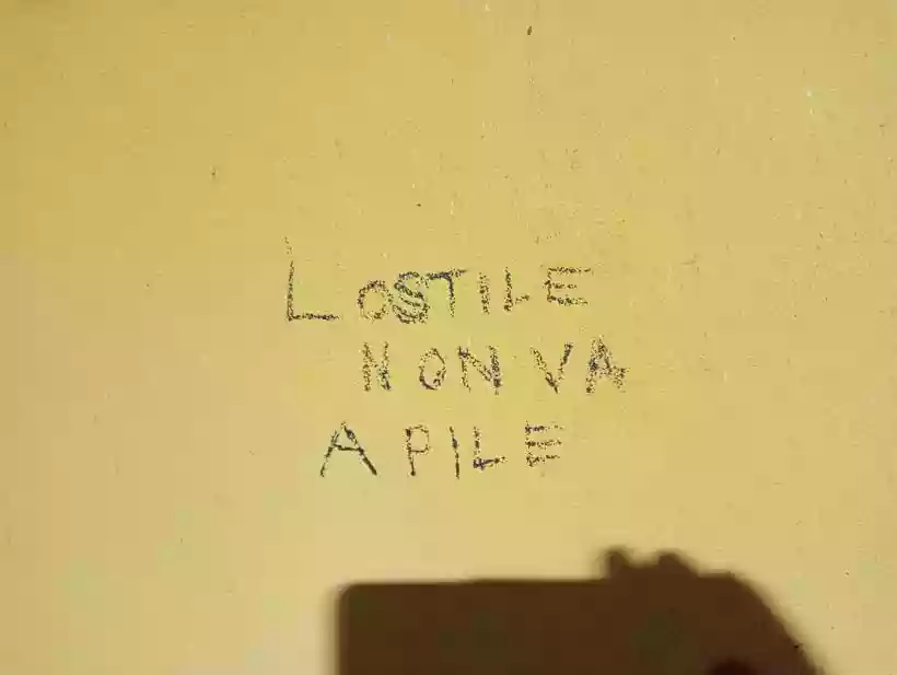 Ingrandisci questa immagine