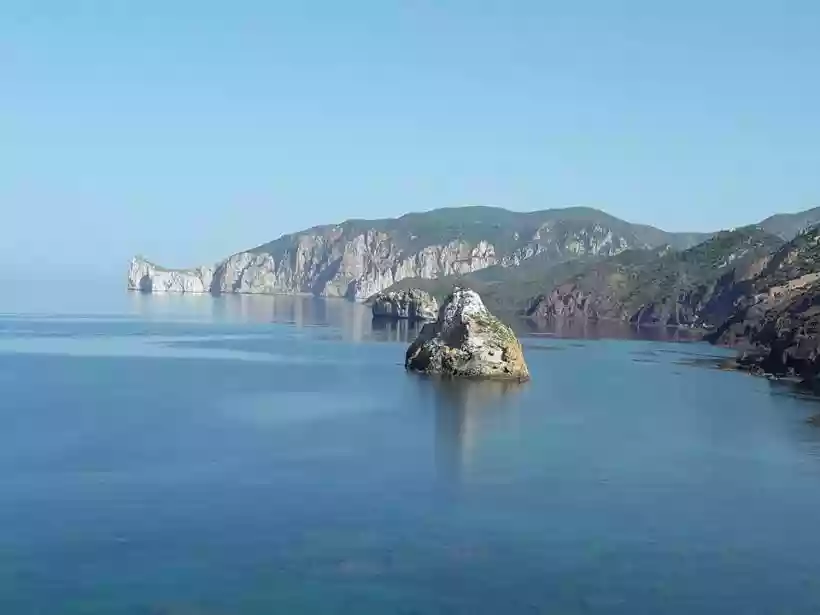 Ingrandisci questa immagine