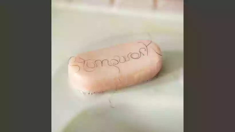 Ingrandisci questa immagine