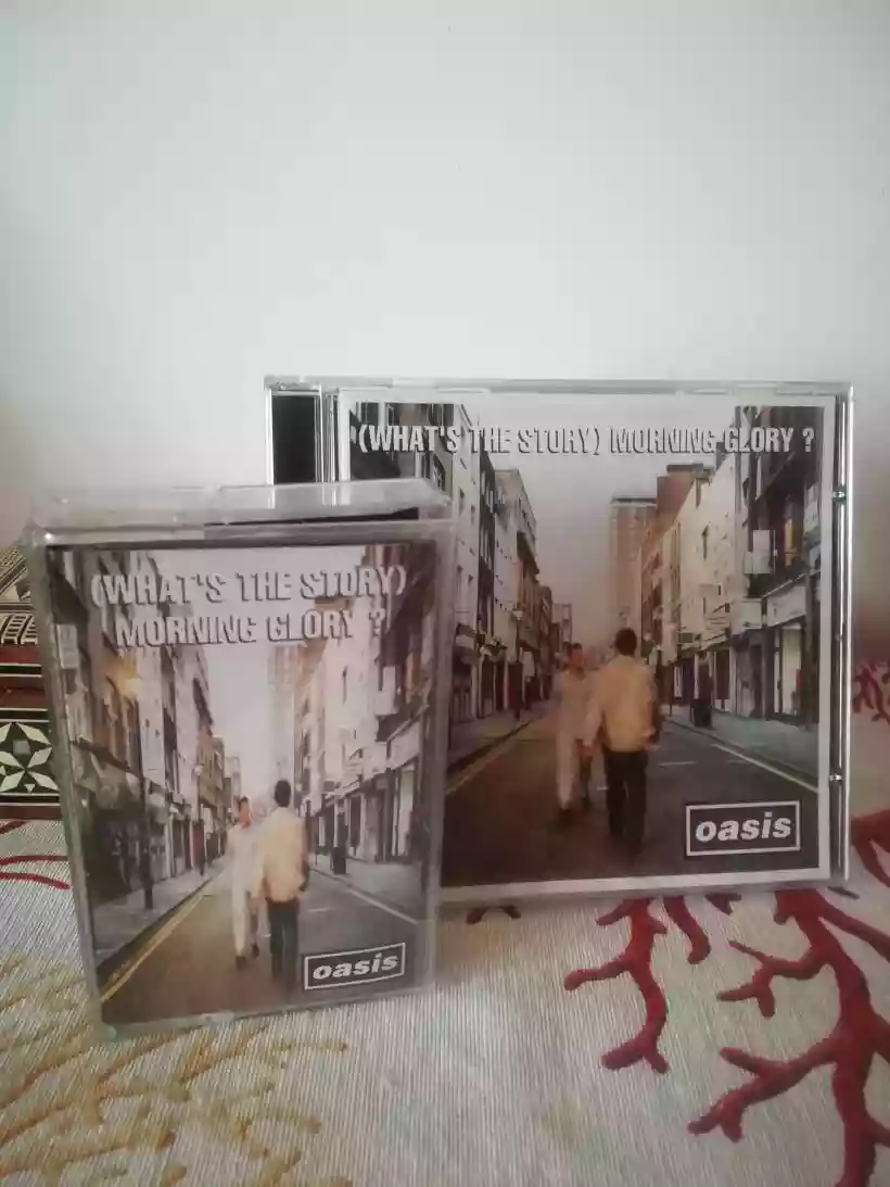 Ingrandisci questa immagine