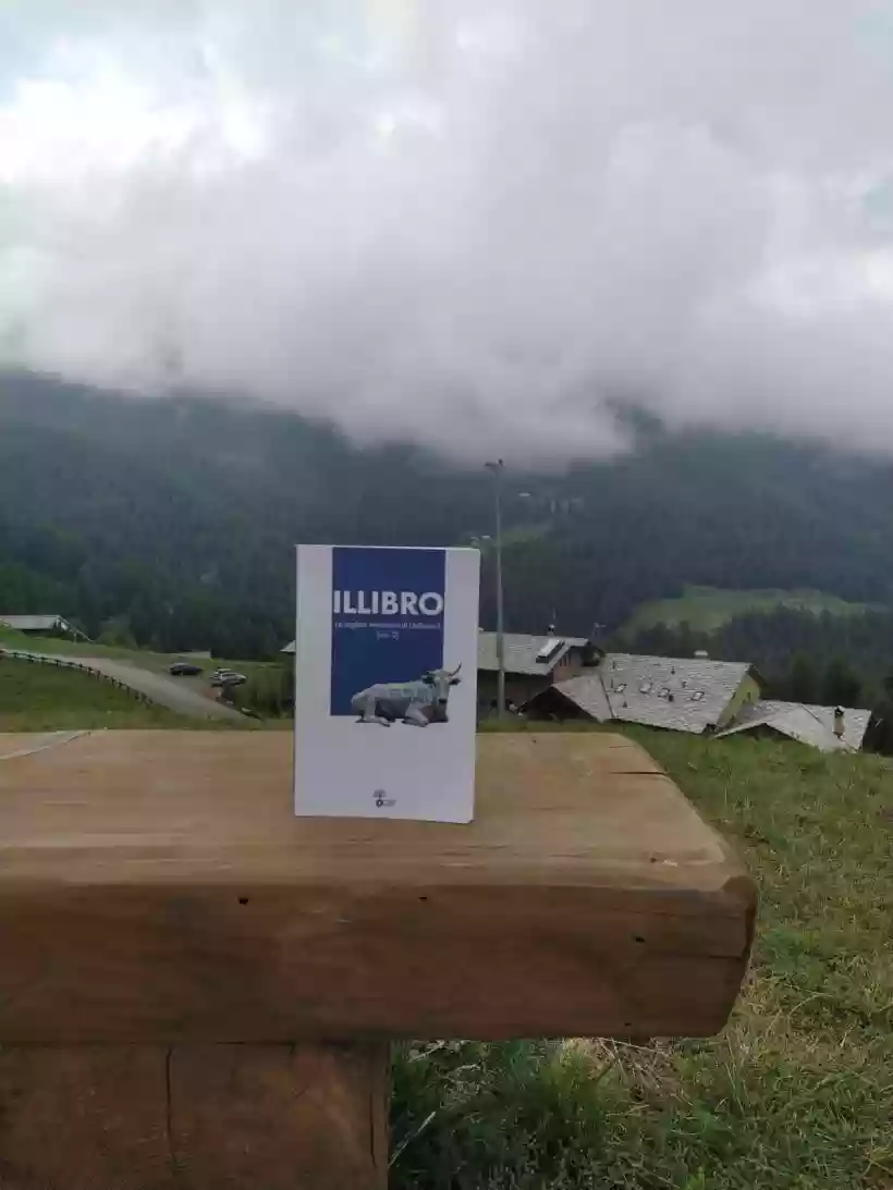 Ingrandisci questa immagine