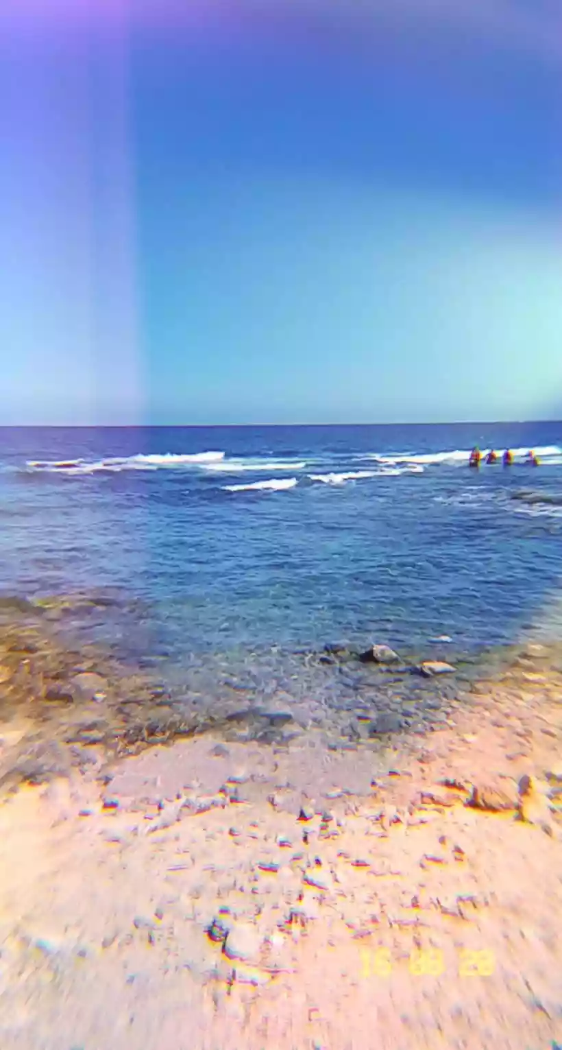 Ingrandisci questa immagine