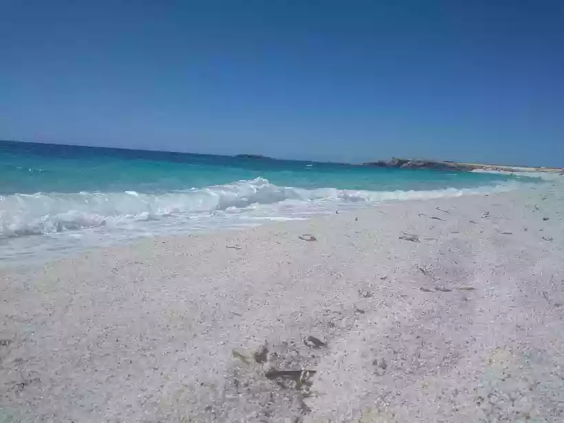 Ingrandisci questa immagine