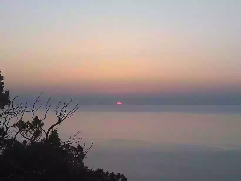 Ingrandisci questa immagine