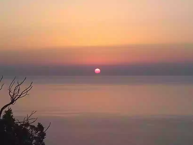 Ingrandisci questa immagine