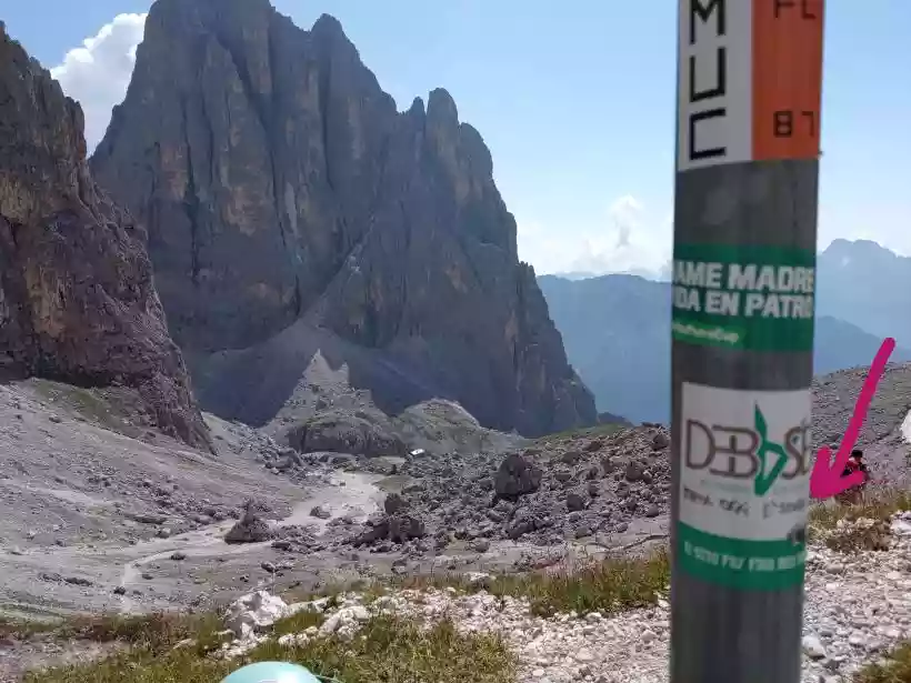 Ingrandisci questa immagine