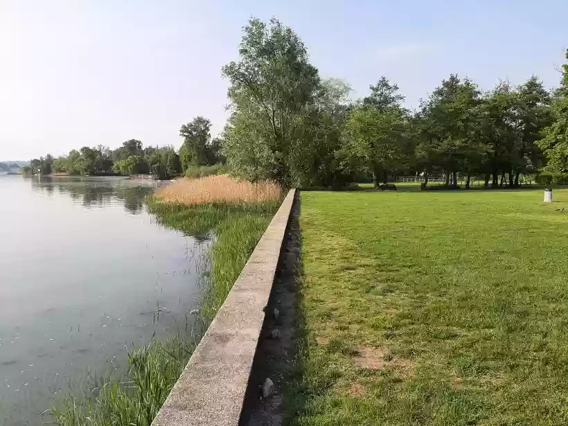 Ingrandisci questa immagine