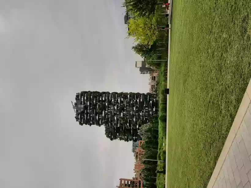 Ingrandisci questa immagine