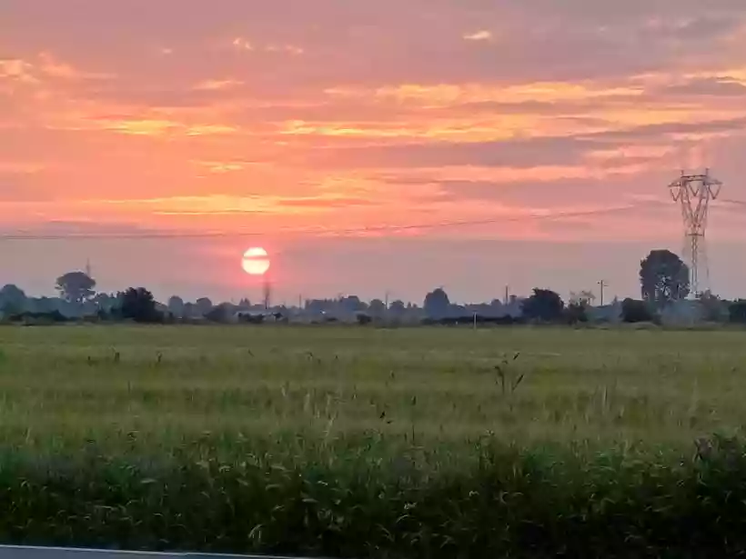Ingrandisci questa immagine