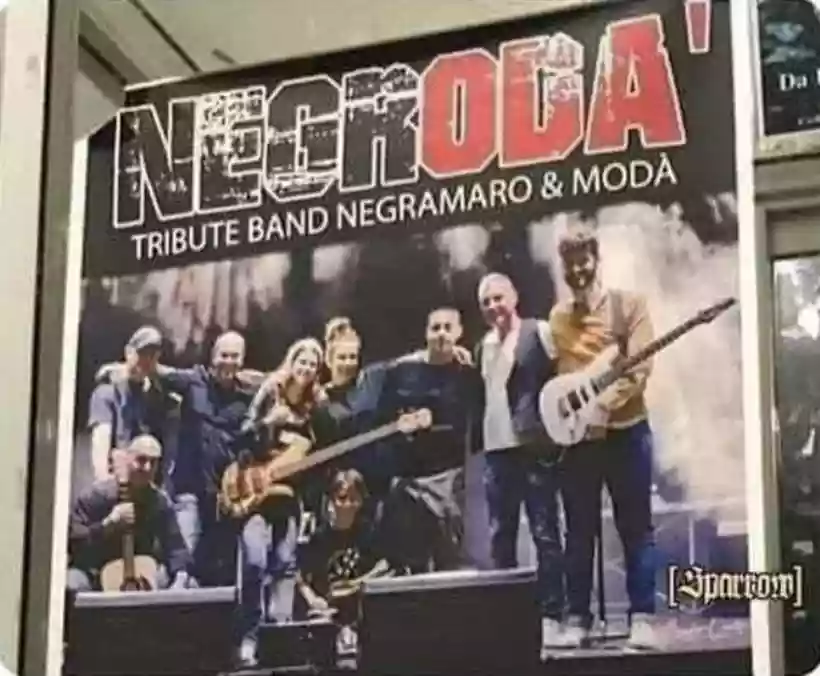 Ingrandisci questa immagine