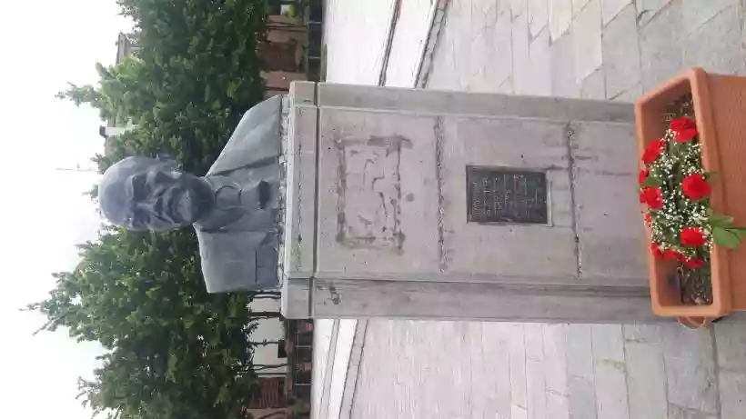 Ingrandisci questa immagine