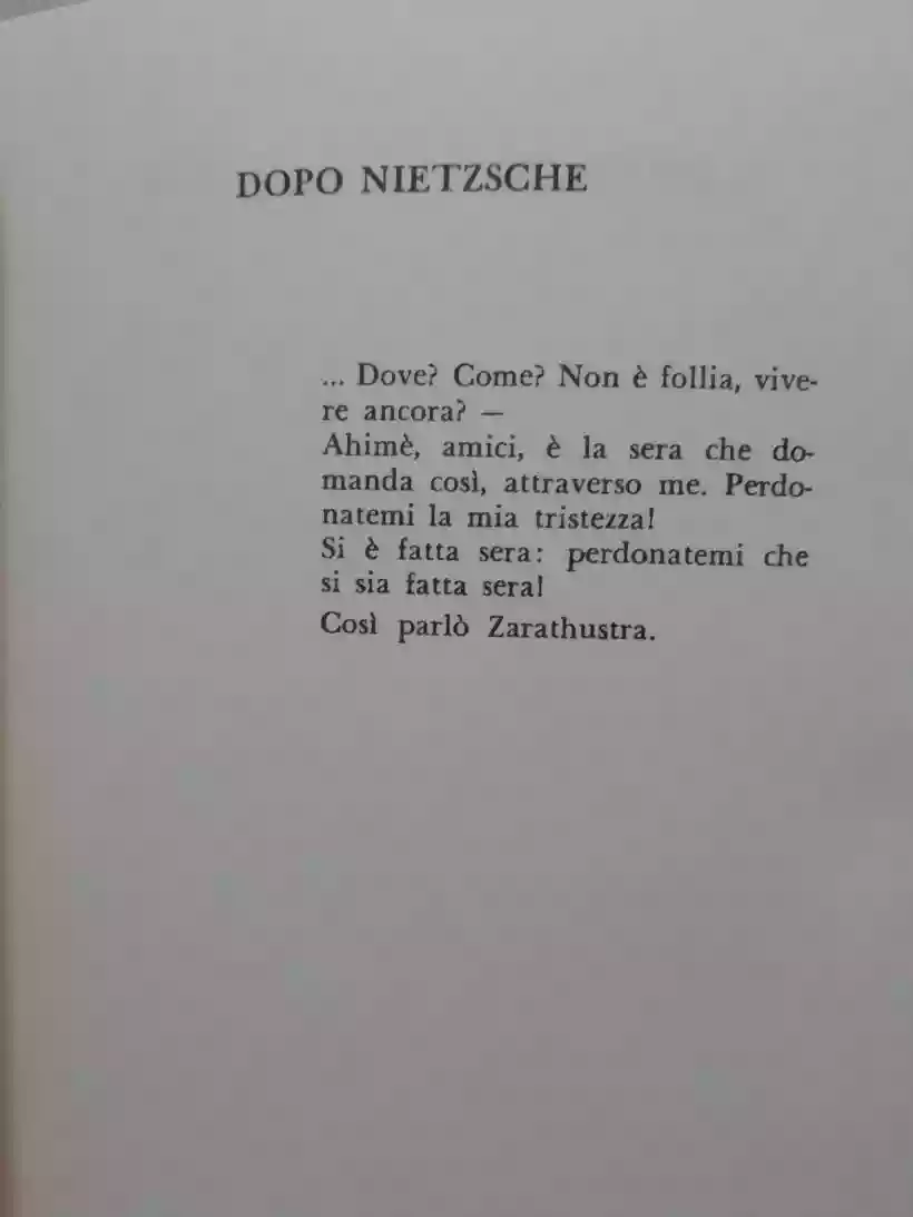 Ingrandisci questa immagine