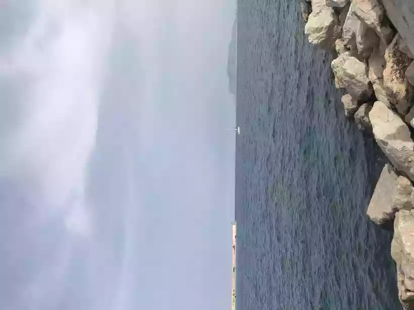 Ingrandisci questa immagine
