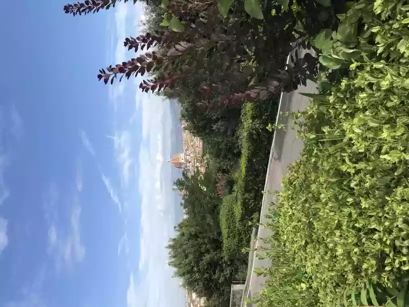 Ingrandisci questa immagine