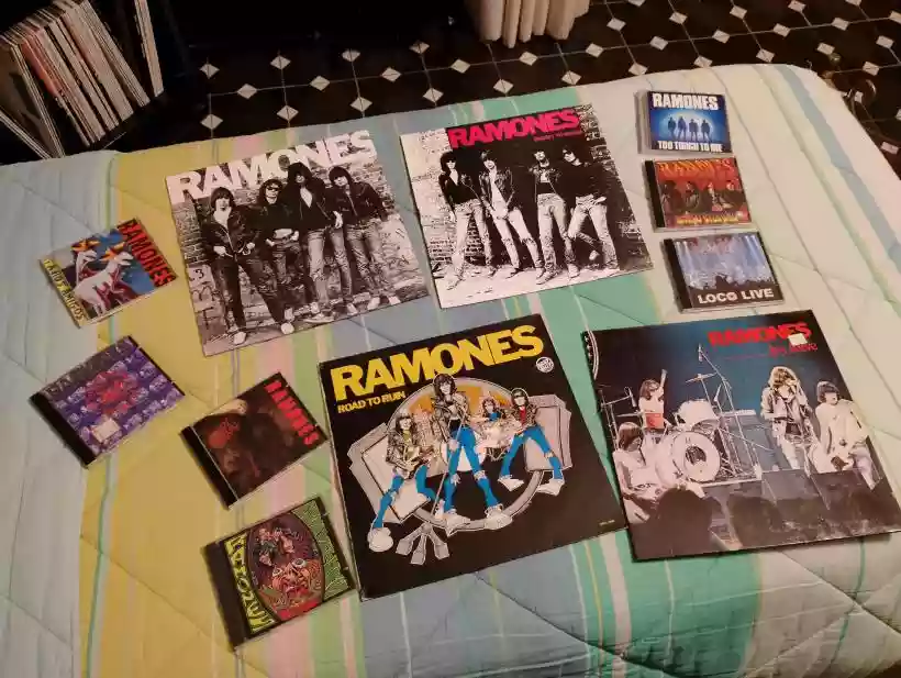 Ingrandisci questa immagine