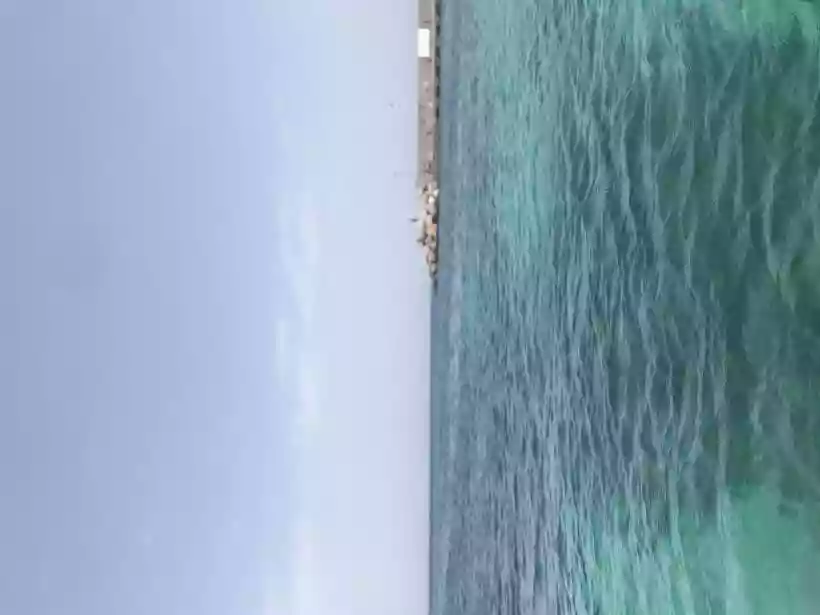 Ingrandisci questa immagine
