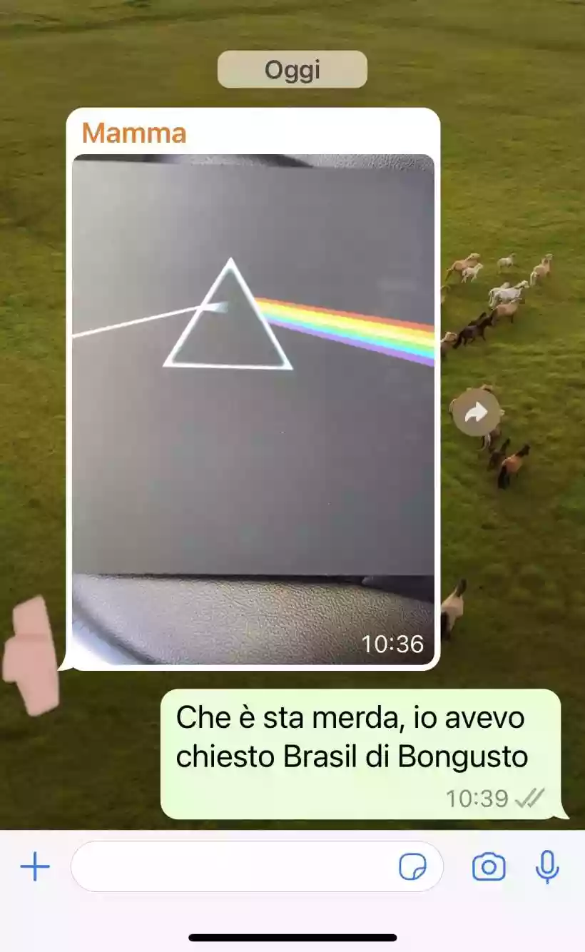 Ingrandisci questa immagine