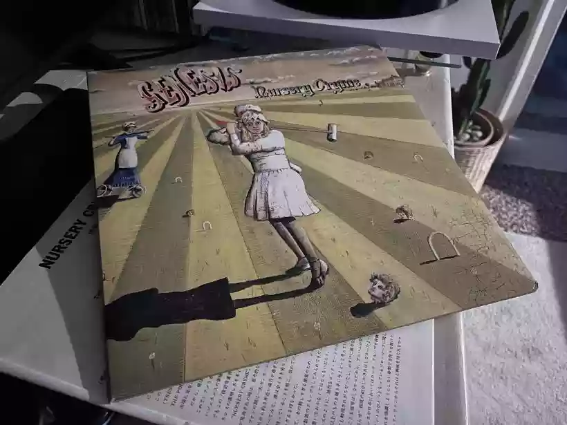 Ingrandisci questa immagine