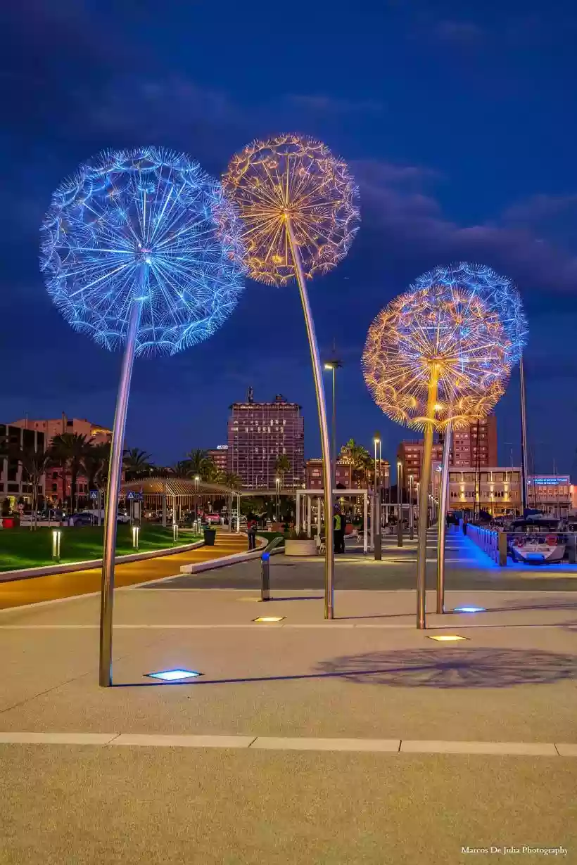 Ingrandisci questa immagine