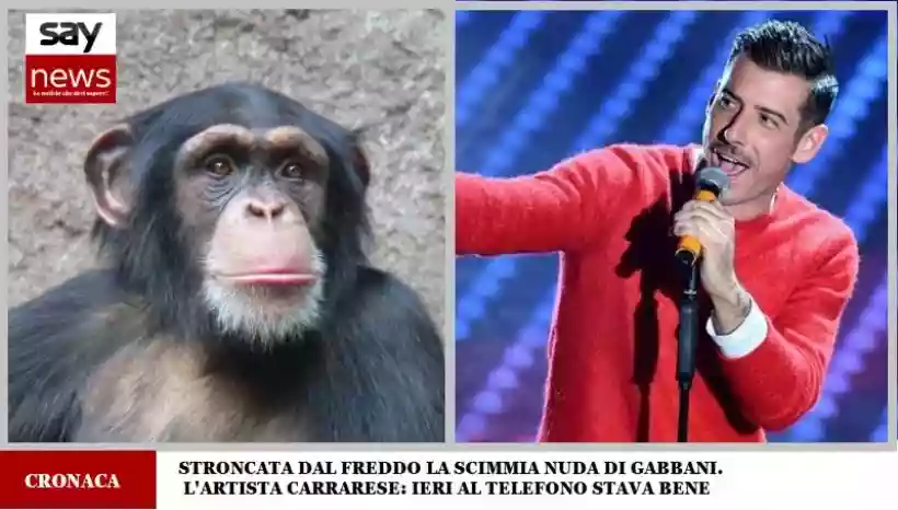 Ingrandisci questa immagine