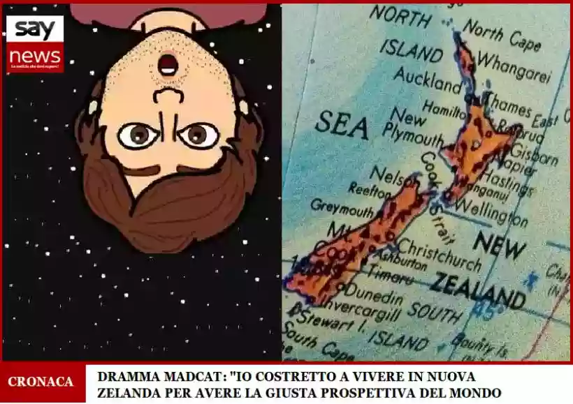 Ingrandisci questa immagine