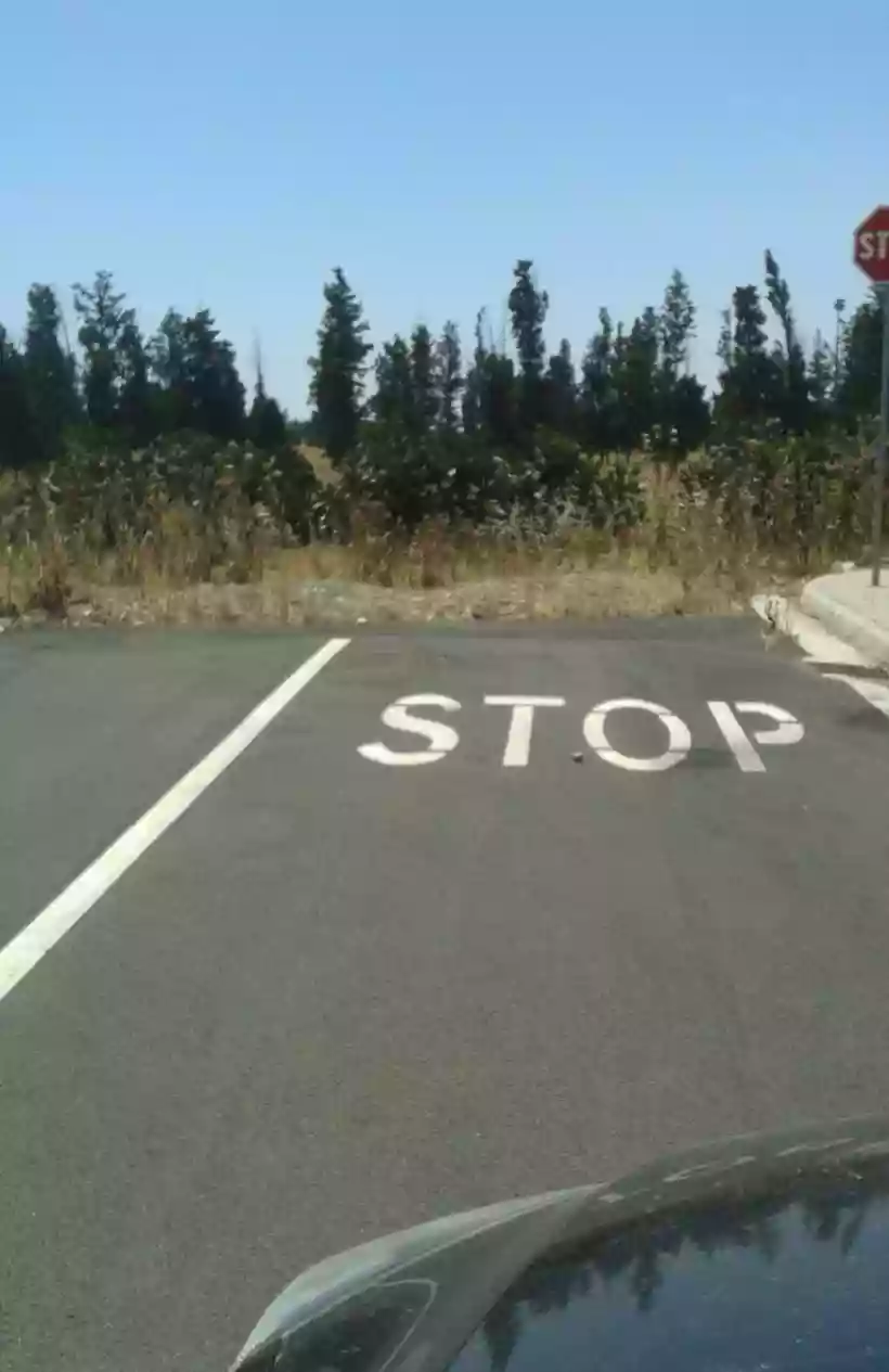 Ingrandisci questa immagine